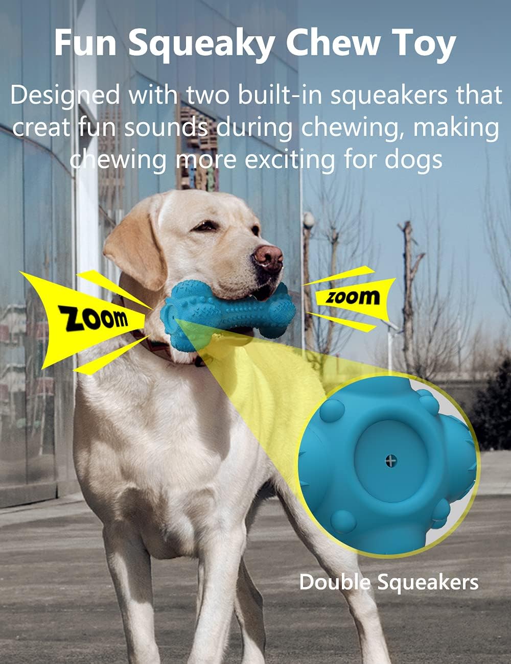 SCHITEC Squeaky Rubber Bone Chew Toy