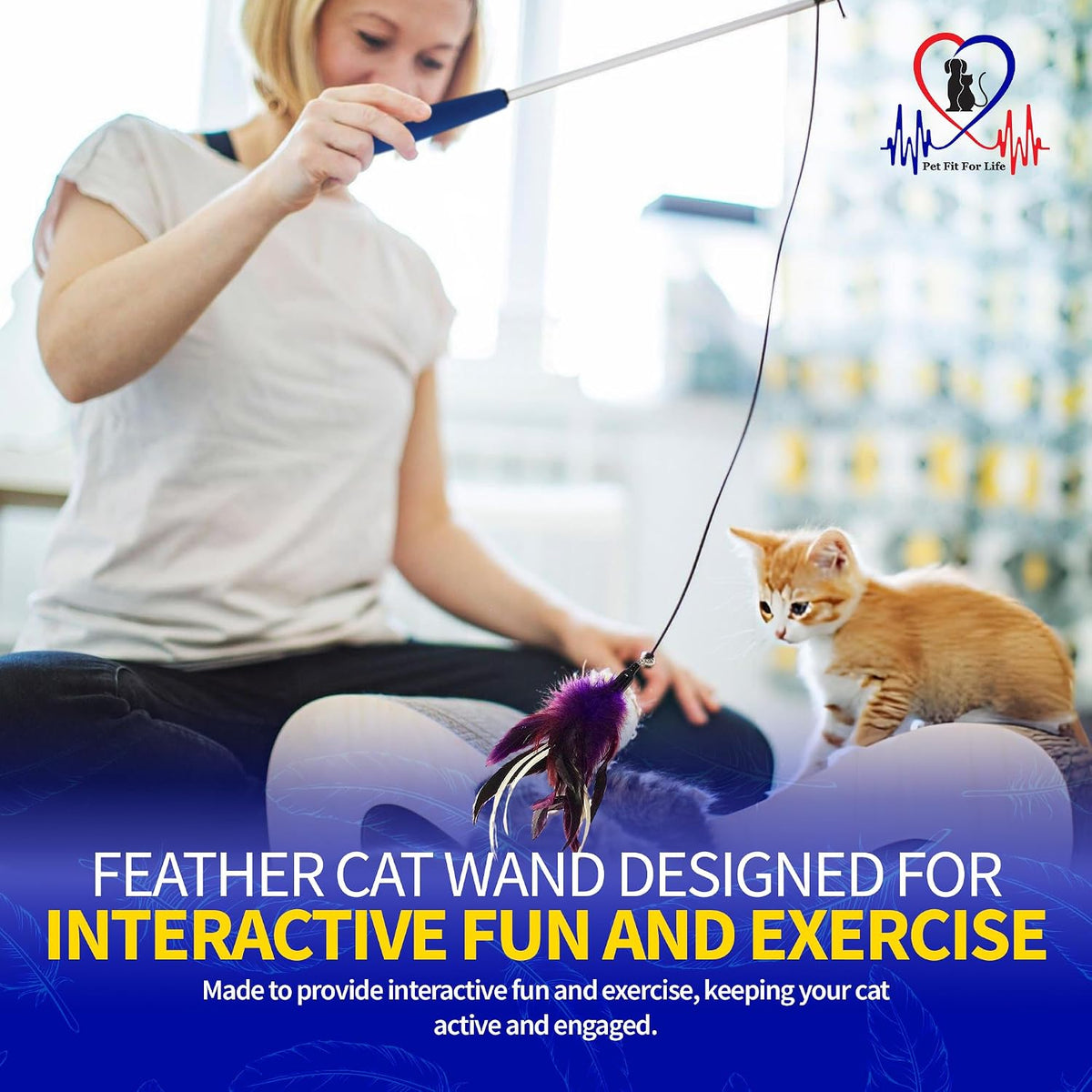 Pet Fit For Life Interactive Cat Wand Toy 2-Pack