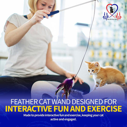 Pet Fit For Life Interactive Cat Wand Toy 2-Pack