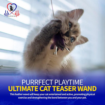Pet Fit For Life Interactive Cat Wand Toy 2-Pack