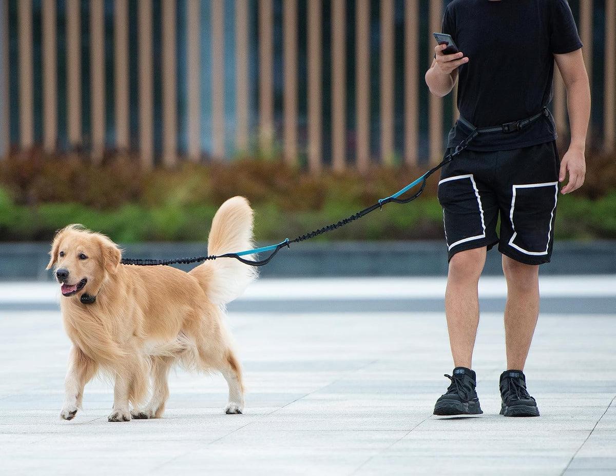 iYoShop Hands-Free Dog Leash