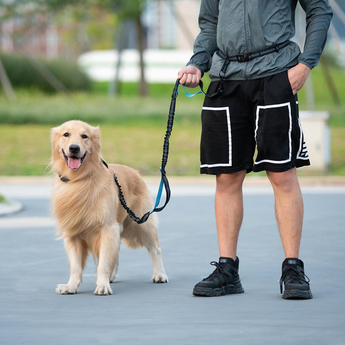 iYoShop Hands-Free Dog Leash