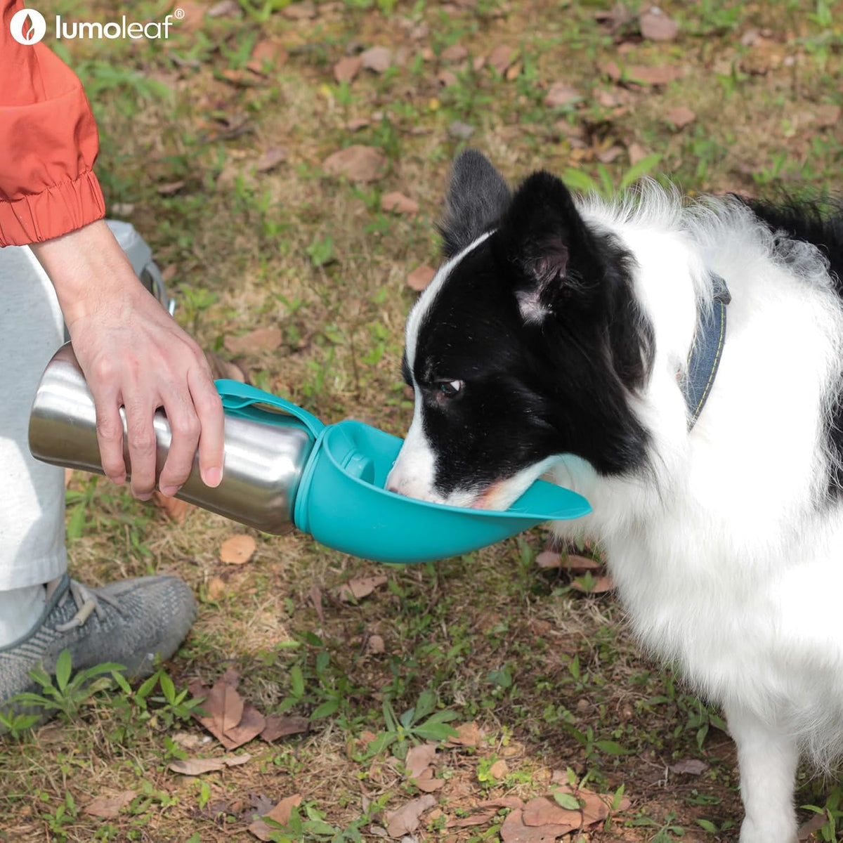 LumoLeaf Portable Dog Water Bottle
