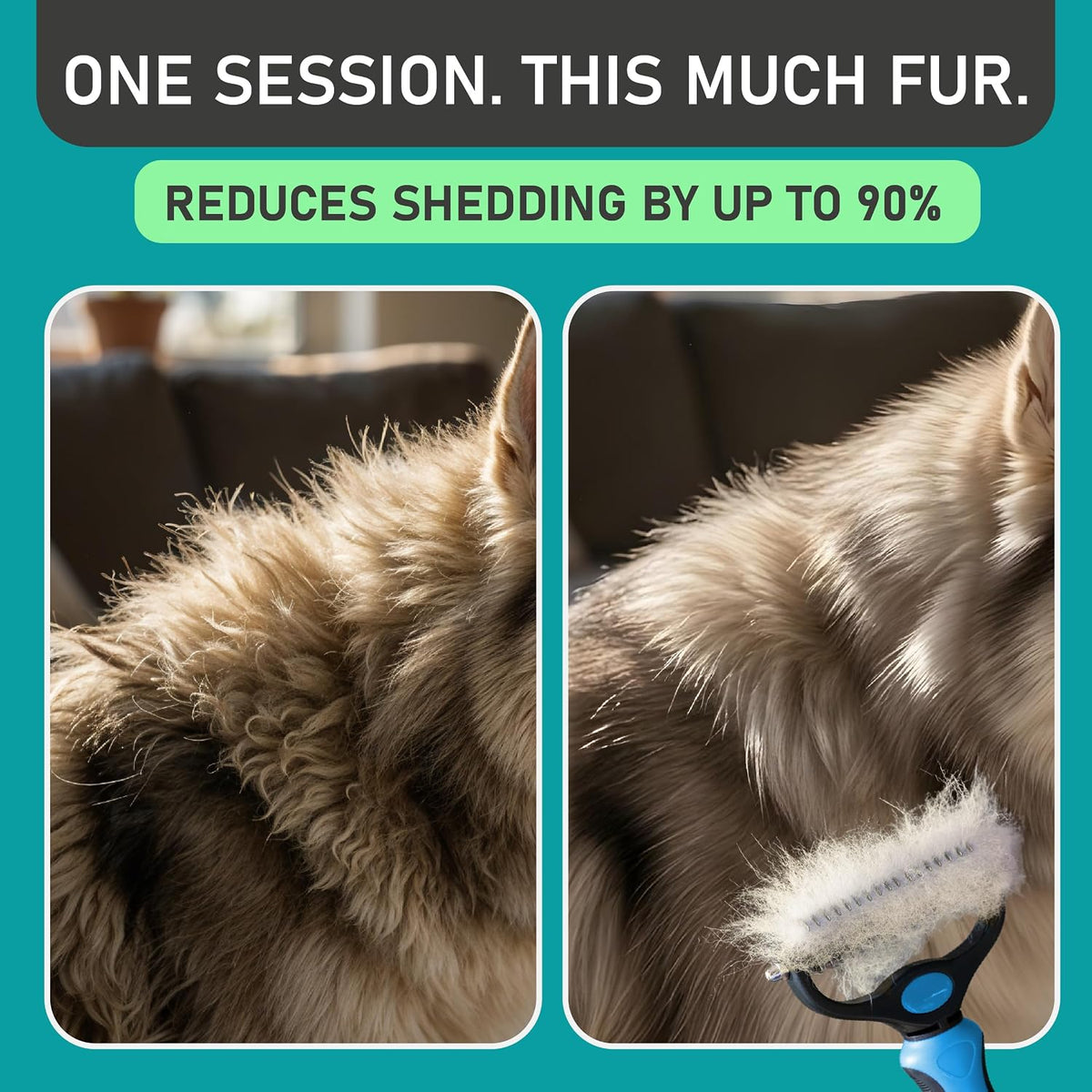 Maxpower Planet Dog Grooming Rake