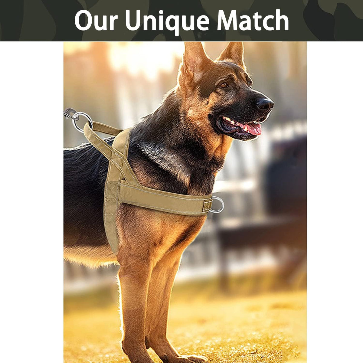 No-Pull Reflective Dog Harness