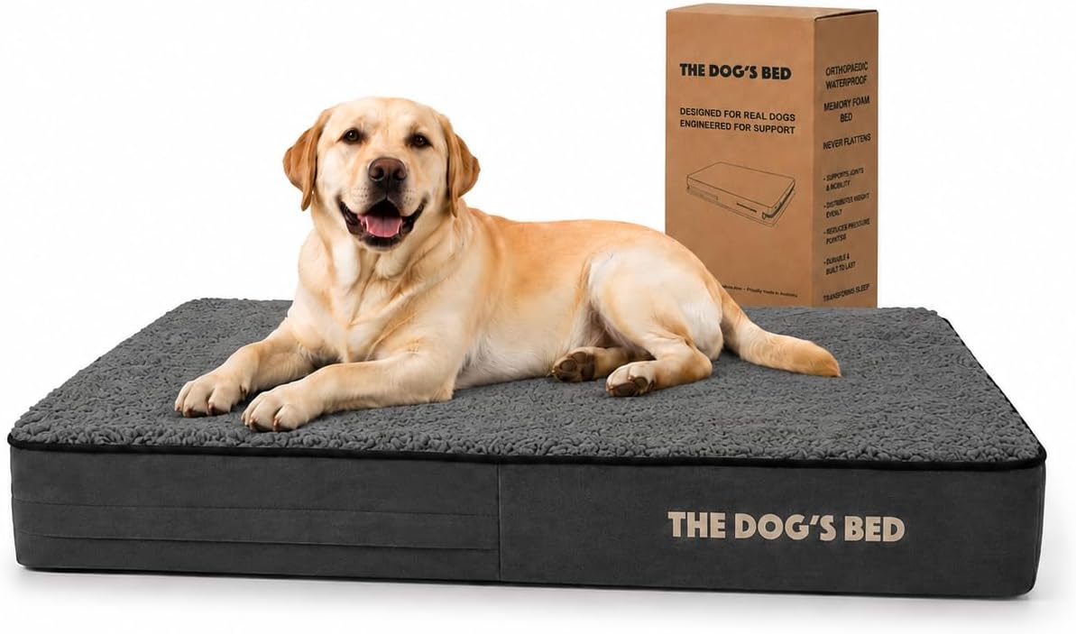 The Dog’s Bed Orthopedic Memory Foam Dog Bed