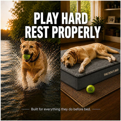 The Dog’s Bed Orthopedic Memory Foam Dog Bed