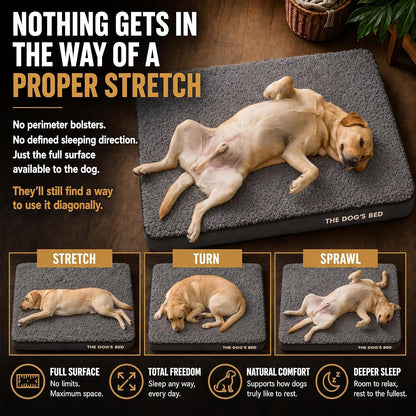 The Dog’s Bed Orthopedic Memory Foam Dog Bed