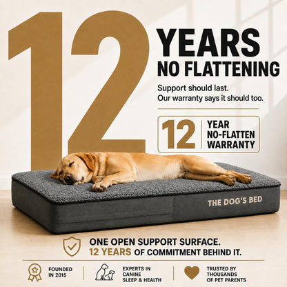 The Dog’s Bed Orthopedic Memory Foam Dog Bed